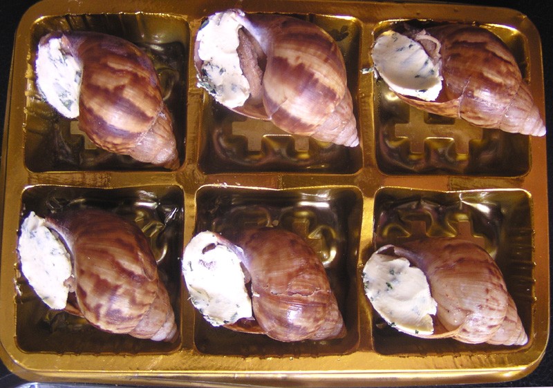 供应法式西餐局蜗牛